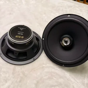 Woofer Size 6.5/8/10/12/15 Inch Car Speakers Car Speakers and Amps and Radios Car Speaker Slim Car Speakers