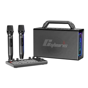 X21 Professional 200W Portable Karaoke Machine with Sound Mixer 2 UHF Microphones and Dynamic RGB Light Show