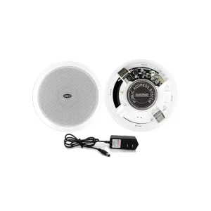 XIDLY China Full Range 6″ Dual cone Dynamic for Active Ceiling Speaker Digital Class D Amplifier 3 Year Warranty