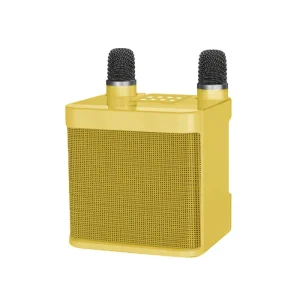 YS-203 Karaoke Machine with 2 Wireless Microphones for Adults Kids Portable Bluetooth Speaker HD Sound PA System YS-210 YS219
