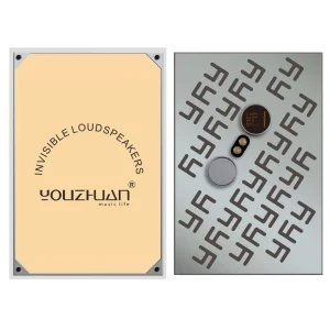 YZ 4030 Hidden Speaker 89dB Sensitivity 80Hz 19kHz Frequency Response Embedded Wall Mount 8 Ohms Weight 450x300x29mm