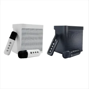 Ys203 Mini Portable Wireless Microphone Bluetooth Speaker Amplifier Wireless BT Speaker with Microphone