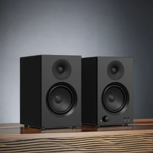 Z01 35WX2 Desktop Monitor Speaker 4 Inch Bass Studio Monitors Black Wooden Cabinet Passive Speaker Reducing Resonance