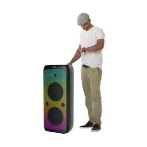 ZQS10208 Double 10 Inch Trolley Portable Outdoor Portable BT DJ Speaker With LED Display