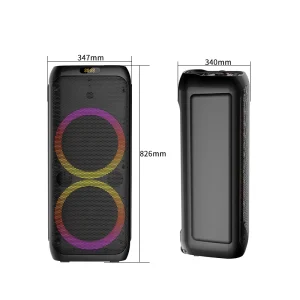 ZQS10209 Large Outdoor Portable 10inch Full Range Woofer Bluetooth Speaker