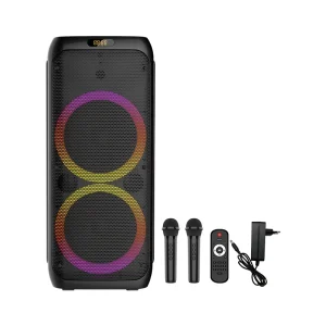 ZQS10209 OEM Party 50W Power 2*10 Inches Bass Sound Wireless Speaker for Outdoor