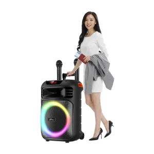 ZQS12148 Super Bass Party Trolley Speaker High Battery Capacity with Wireless Microphones Remote Control