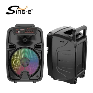 ZQS12149 TWS Portable 12-Inch Hand-Push Audio Speaker Dual Wireless Microphone Bass Home Theater Mobile Phone Karaoke Player