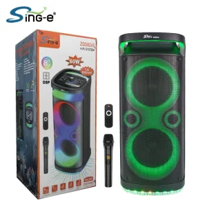 ZQS8249 Portable Wireless DJ Party Karaoke BT Speaker TWS & FM With RGB LED Lighting Mini USB Dual 8inch Factory Discount