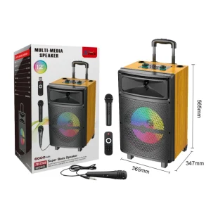 Zqs12139 Outdoor Bluetooth Speaker Factory Direct for Home Theatre Mobile Phone and Karaoke Player
