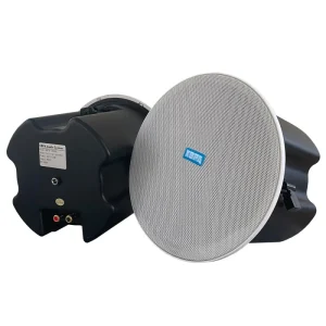 pa System + Smart Home Sound System Stereo 2.1 4.0 5.1 Channel Sound Coaxial WIFI Speaker Ceiling Speaker